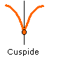 cuspide